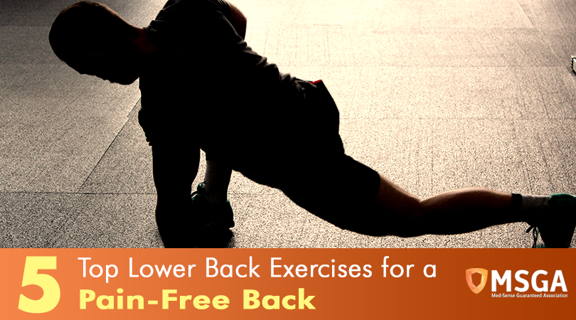 5 Top Lower Back Exercises for a Pain-Free Back