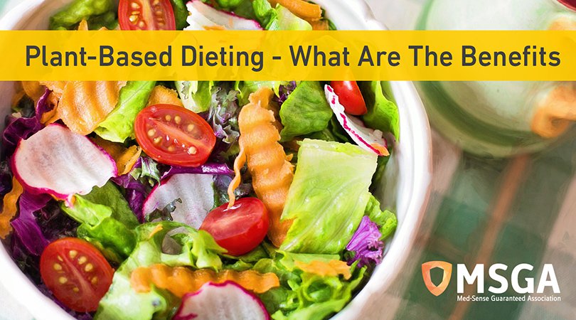 Plant-Based Dieting – What are the Benefits?