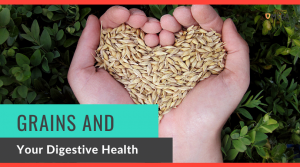 Grains and your digestive health